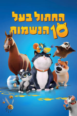 החתול בעל 10 הנשמות